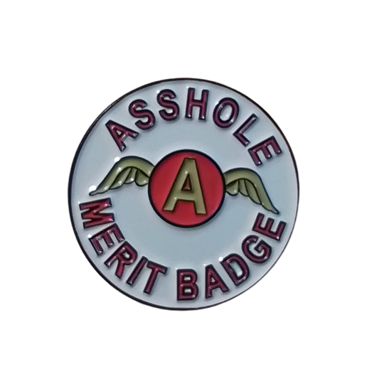 Merit Badge Pin