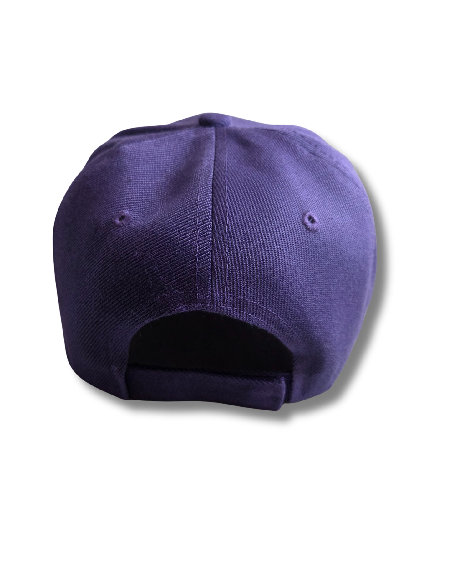 DarkSide Trucker Hat